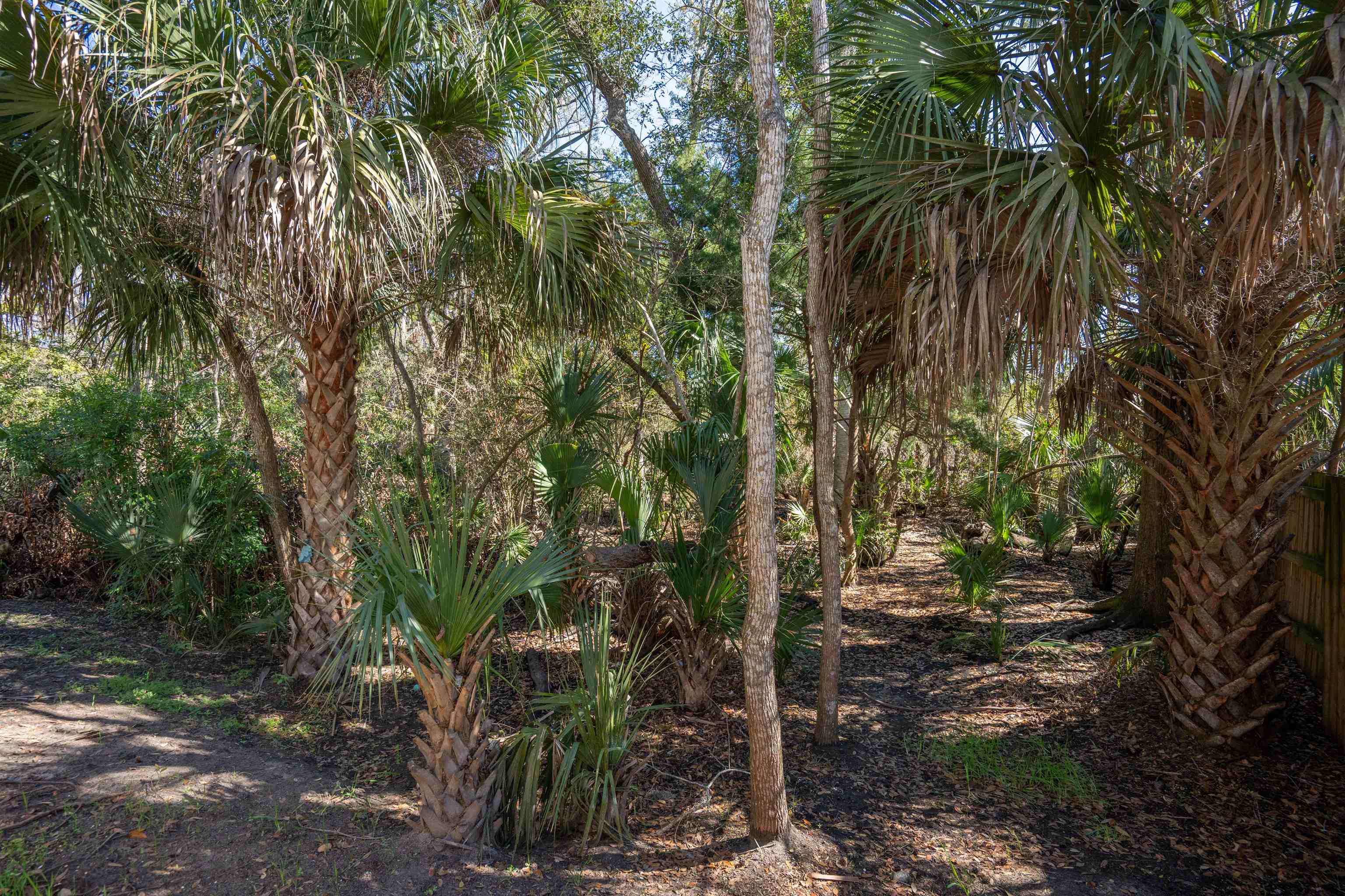 236 Nesmith Avenue St. Augustine, FL 32084 - Photo 33 of 40