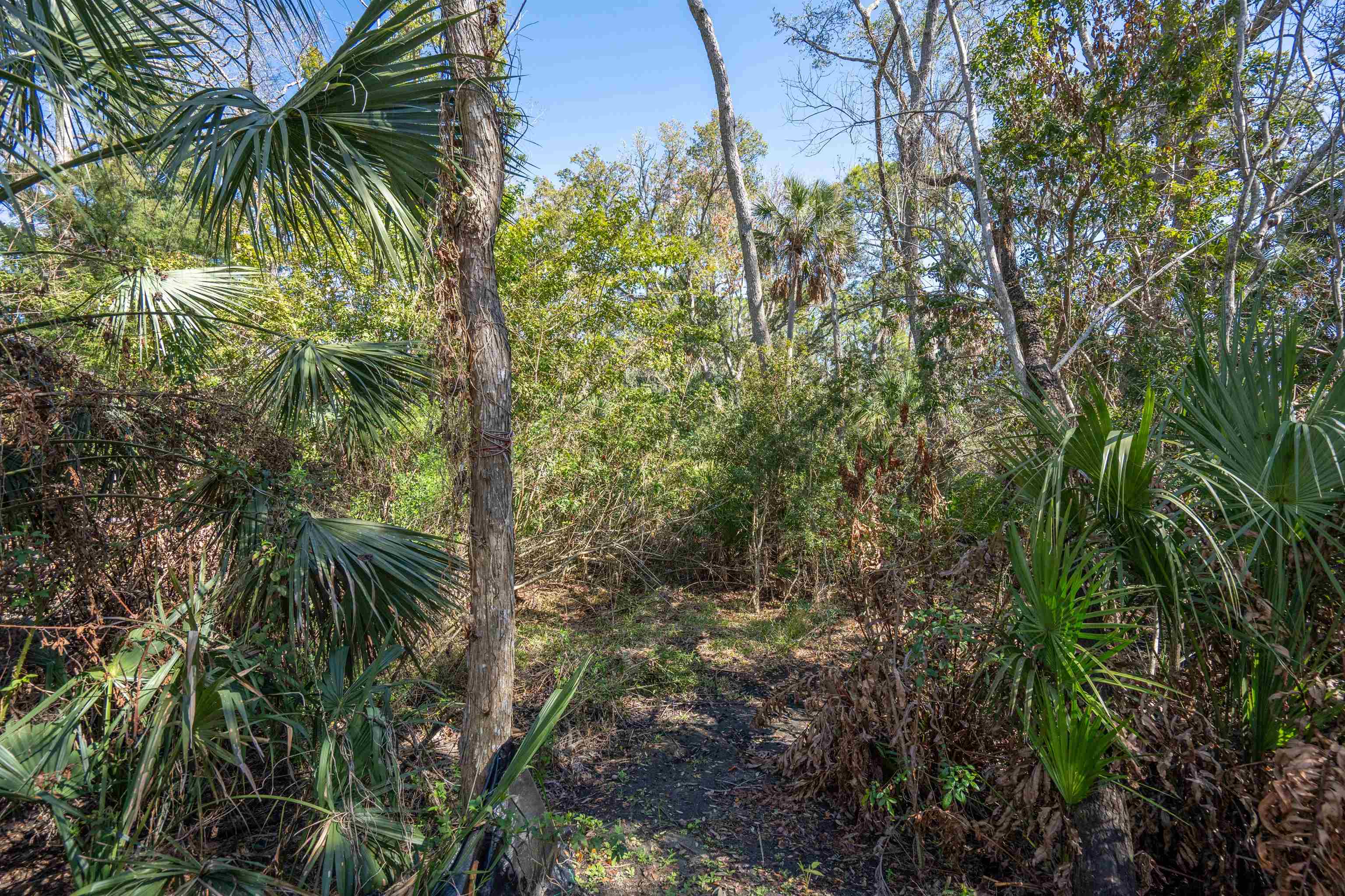 236 Nesmith Avenue St. Augustine, FL 32084 - Photo 34 of 40