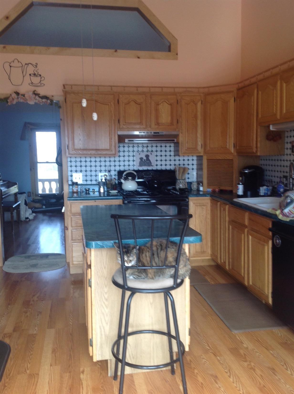 6600 Talladay Road Milan, MI 48160 - Photo 14 of 88 Photo 14