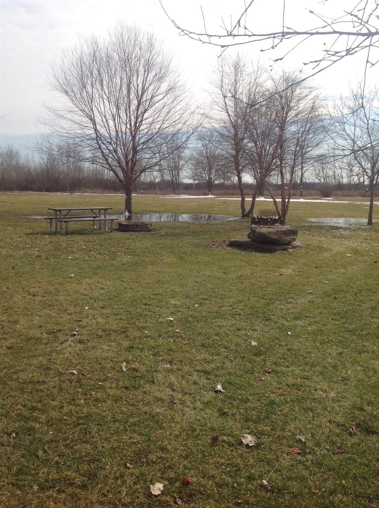 6600 Talladay Road Milan, MI 48160 - Photo 58 of 88 Photo 58