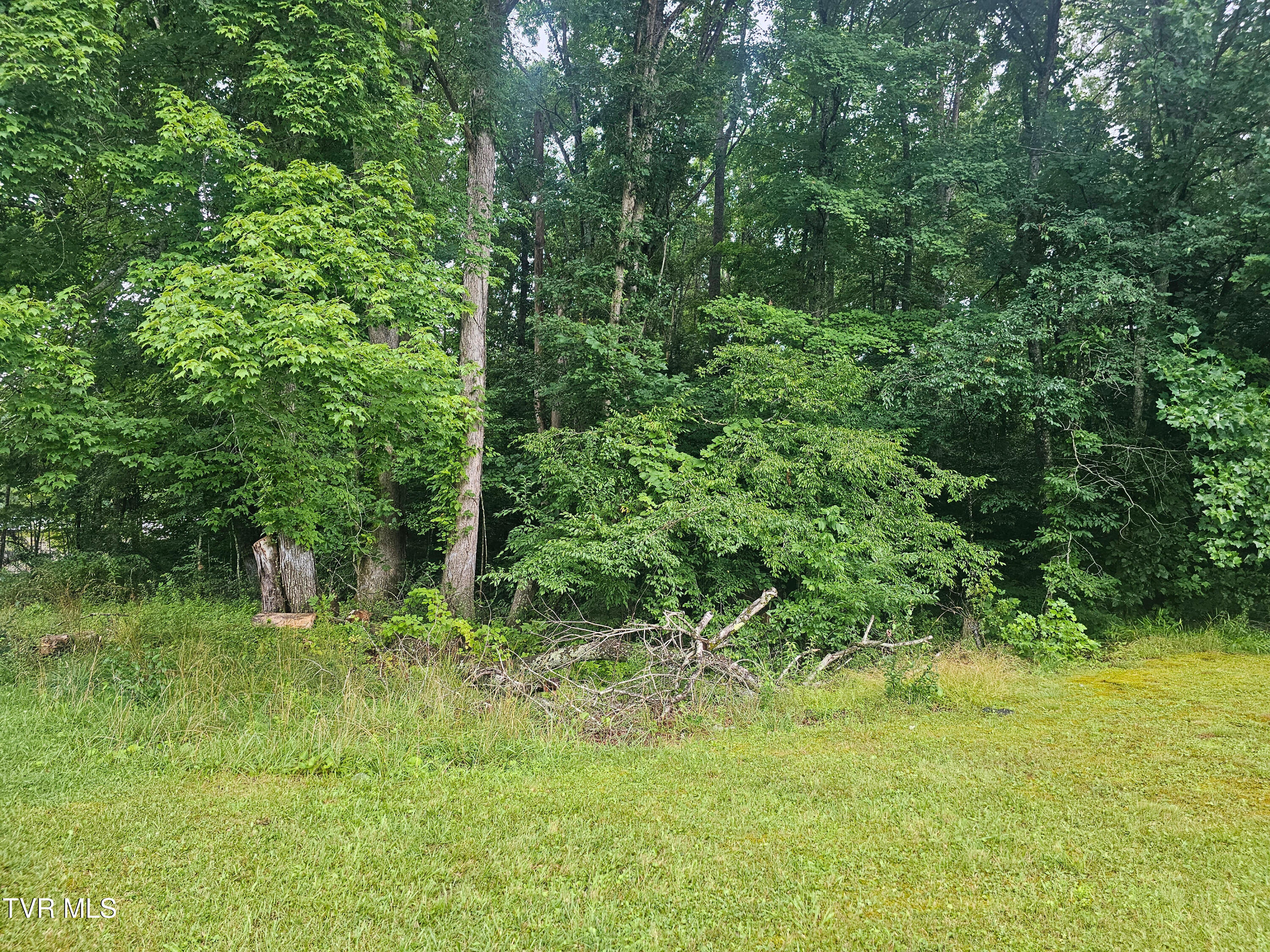 Tbd Gardner Heights Road, Unit 9 Norton, VA 24273 - Photo 8 of 14 property view