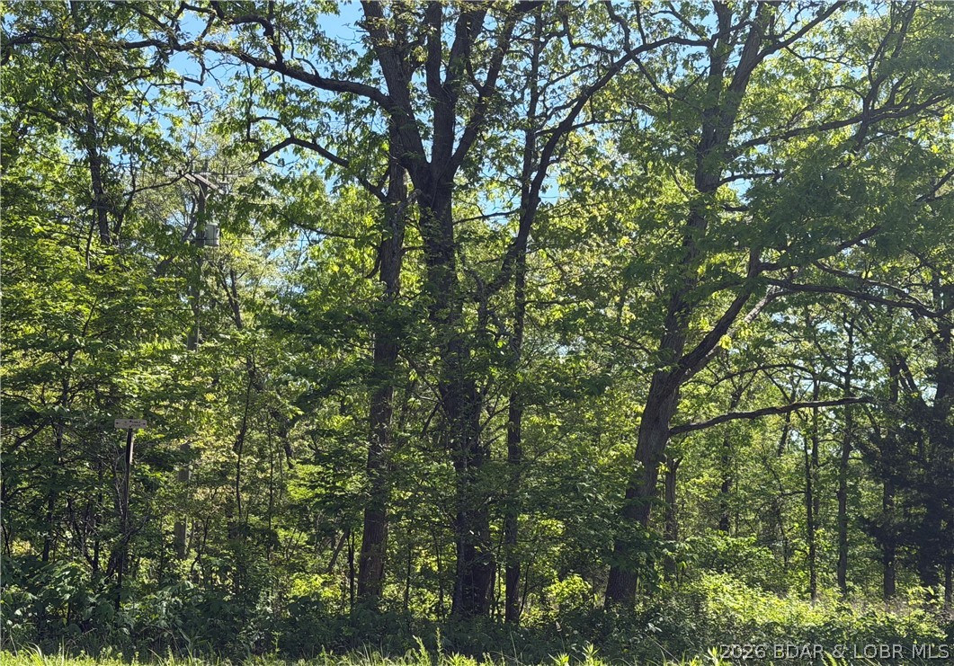 10-acres Ivy Bend Road Stover, MO 65078 - Photo 6 of 12