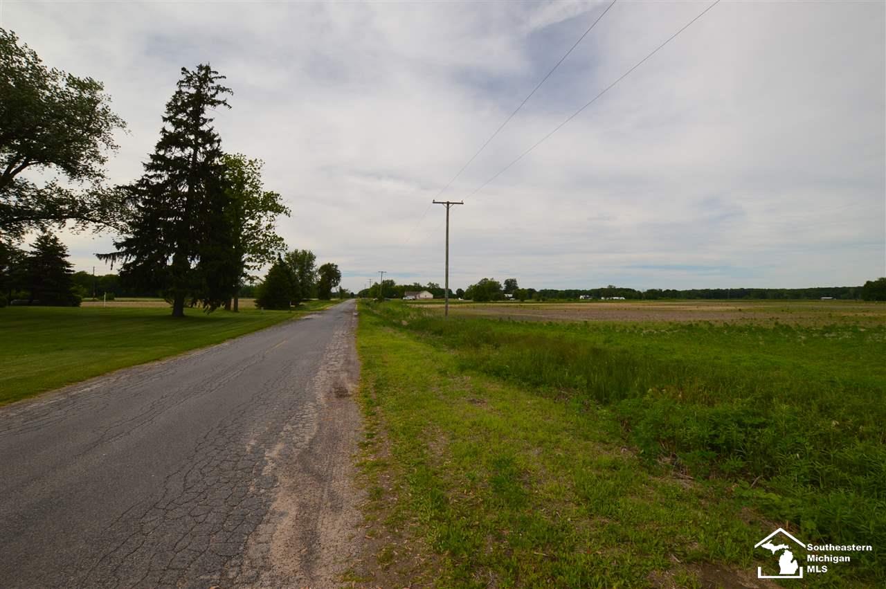 30 Yensch Road Dundee, MI 48131 - Photo 4 of 7