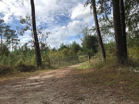 0 Powder Horn Road Dorchester, SC 29437 - Photo 8 of 9 chuck