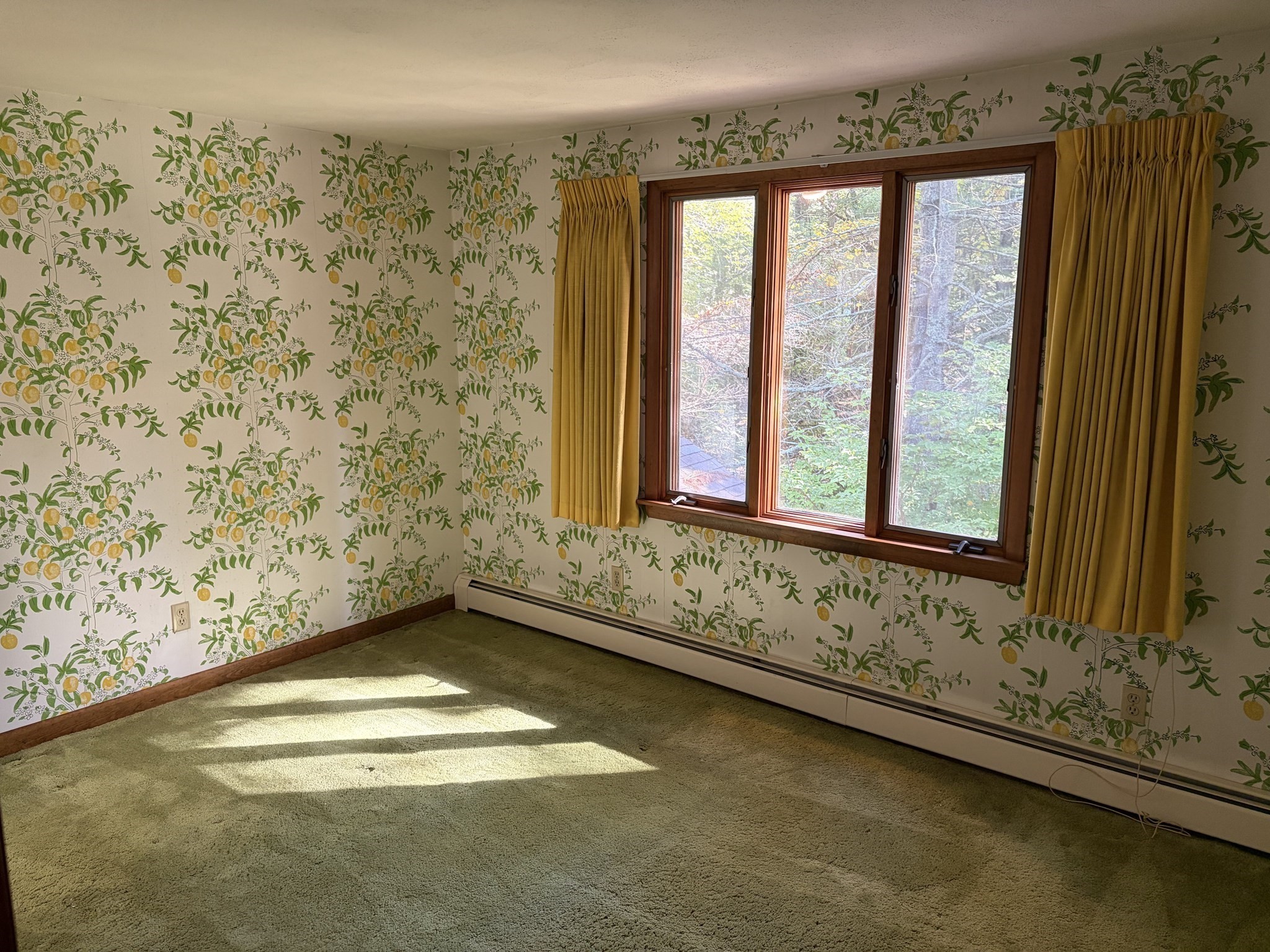 23 Forest Street Upton, MA 01568 - Photo 27 of 38 Gallery Image 27