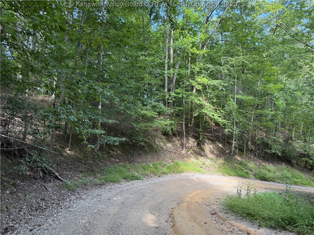 64 Upton Creek Road Spurlockville, WV 25565 - Photo 17 of 29 Gallery Image 17