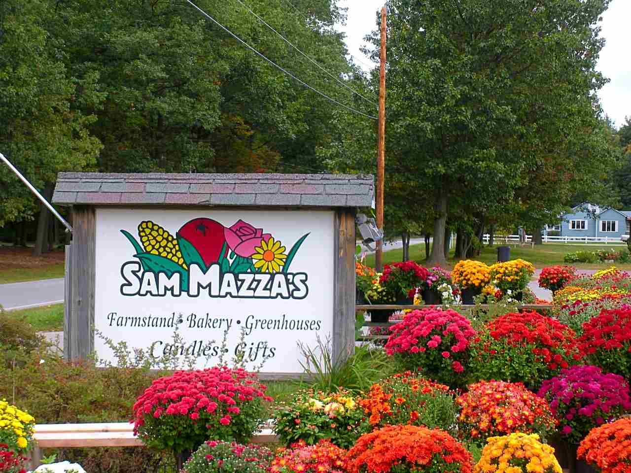 128 Old Sawmill Road Colchester, VT 05446 - Photo 31 of 31 Gallery Image 31