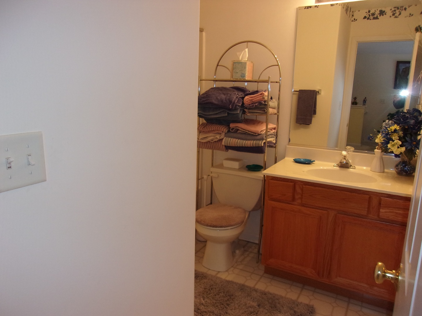 385 Aaron Lane Bolingbrook, IL 60440 - Photo 14 of 20 a bathroom with a toilet a sink and mirror