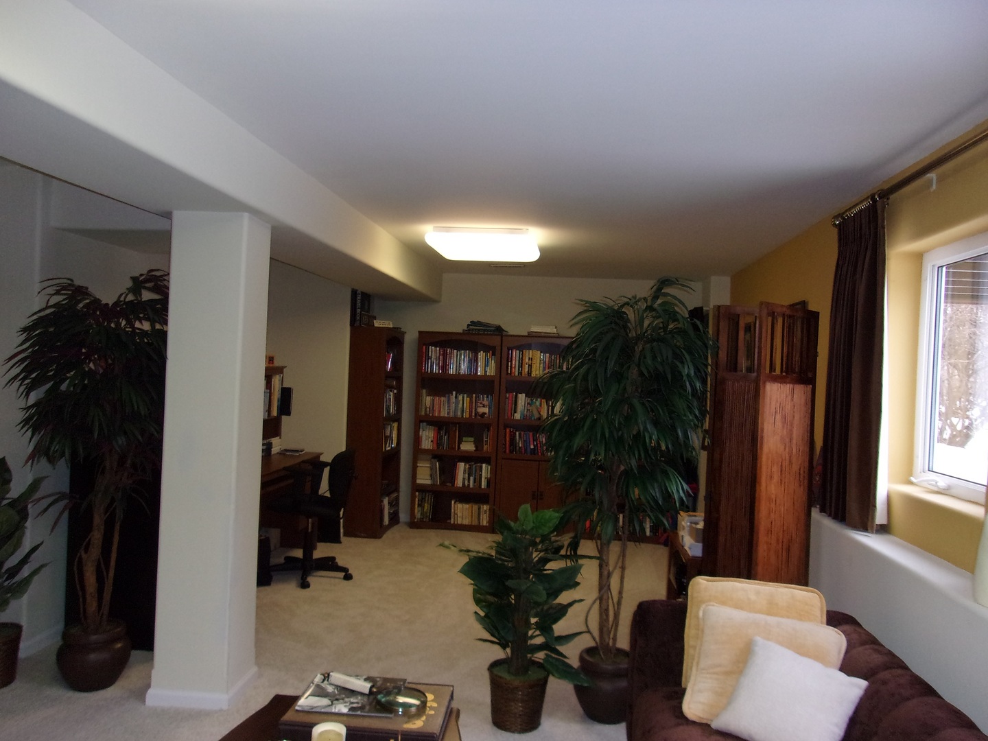 385 Aaron Lane Bolingbrook, IL 60440 - Photo 19 of 20 a room with furniture and a potted plant