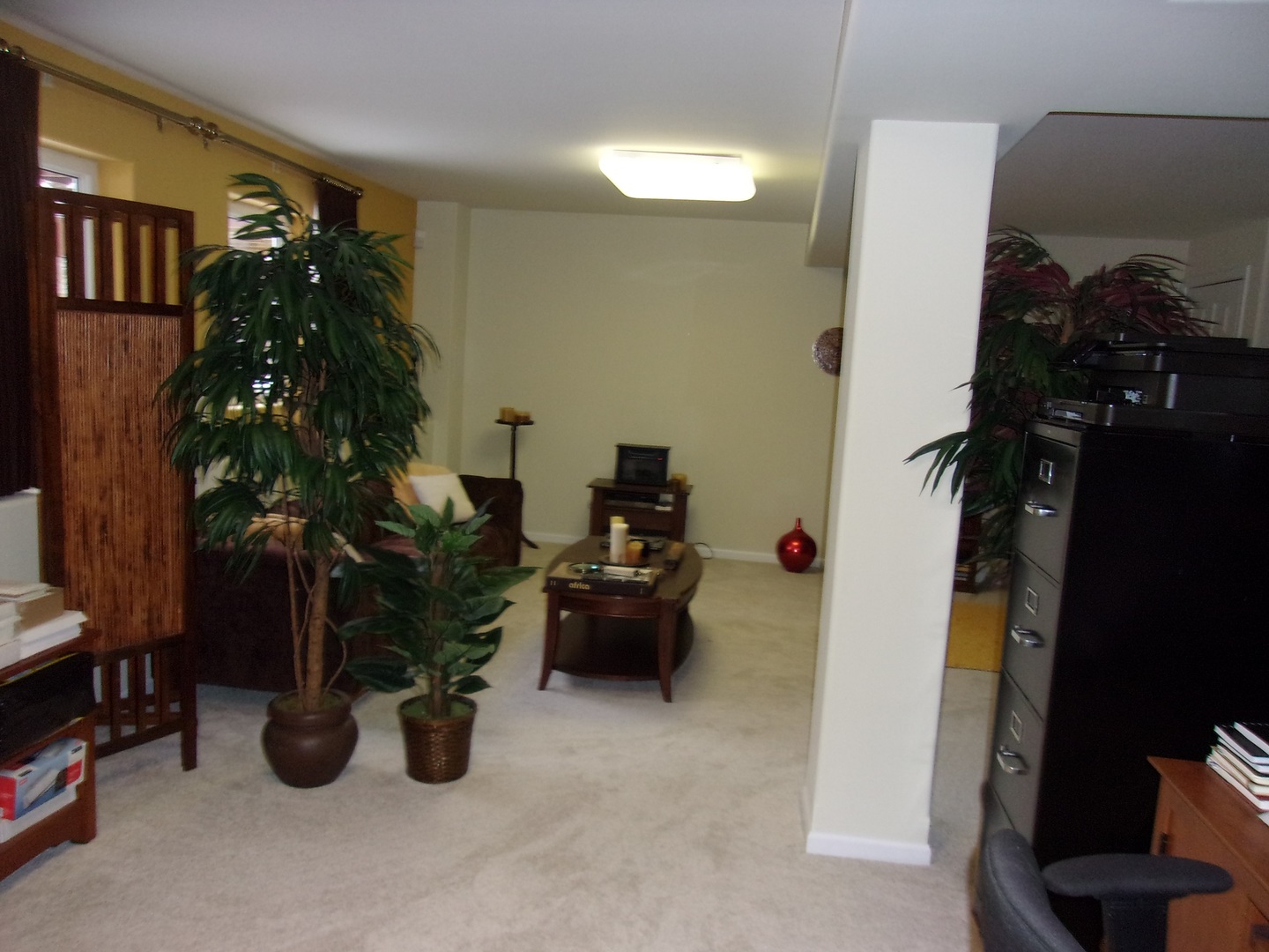 385 Aaron Lane Bolingbrook, IL 60440 - Photo 20 of 20 a living room with furniture and a potted plant