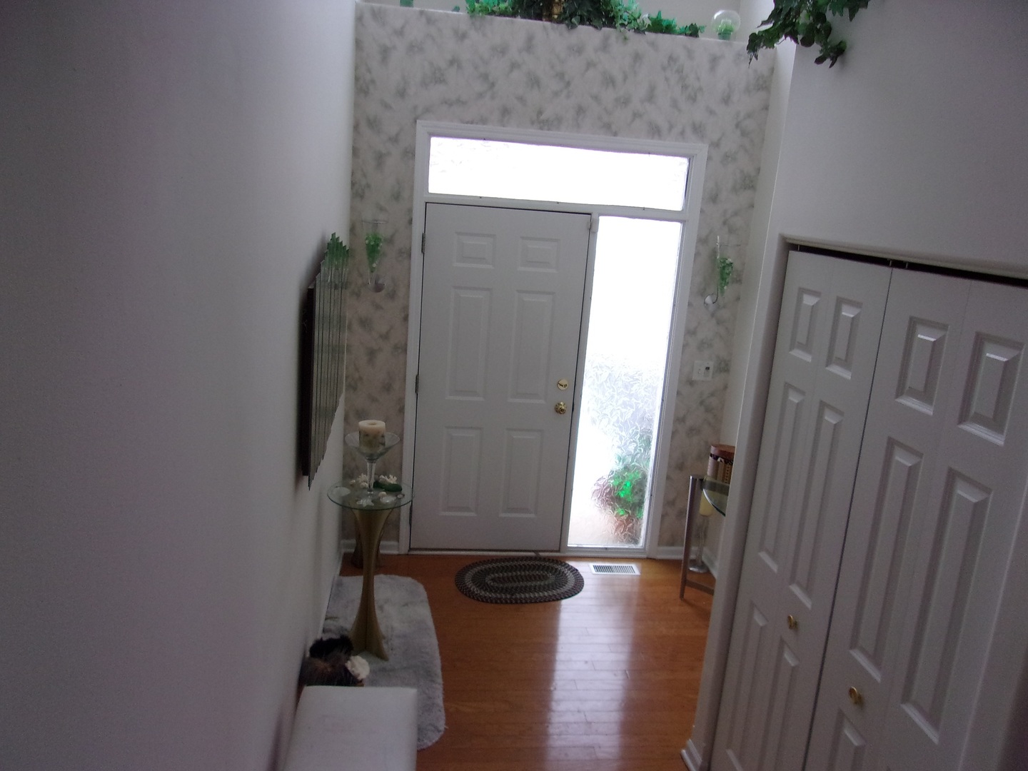 385 Aaron Lane Bolingbrook, IL 60440 - Photo 3 of 20