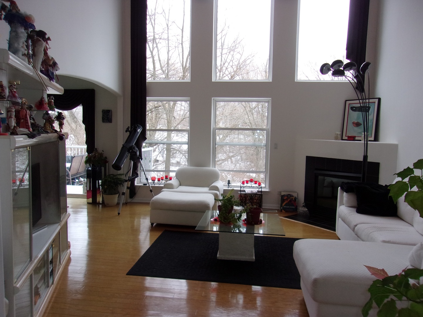385 Aaron Lane Bolingbrook, IL 60440 - Photo 4 of 20 a living room with furniture a fireplace and a floor to ceiling window