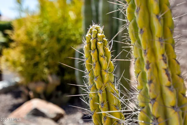 $4,600 | 1732 East Vesper Trail, Queen Creek, AZ 85140