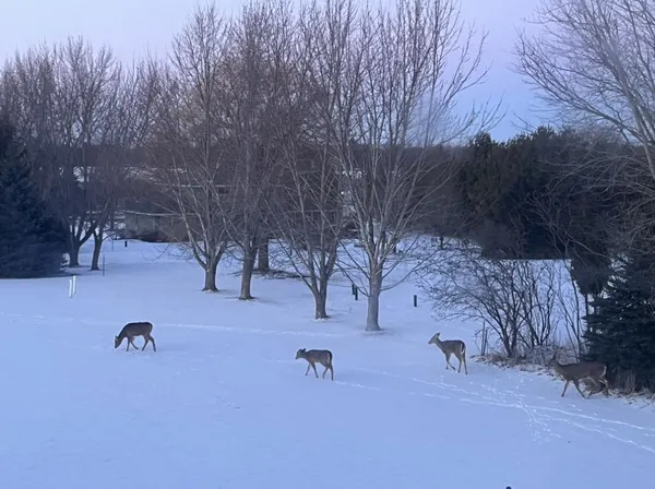 $749,900 | 3414 Syngentia Way, Neenah, WI 54956