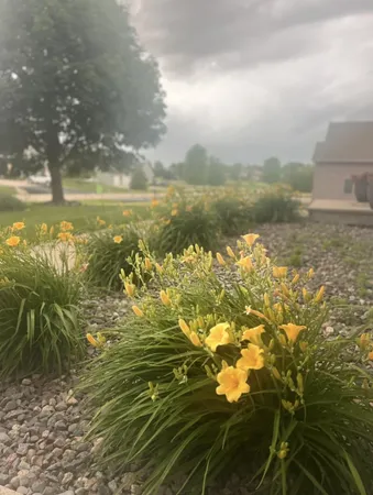 $749,900 | 3414 Syngentia Way, Neenah, WI 54956