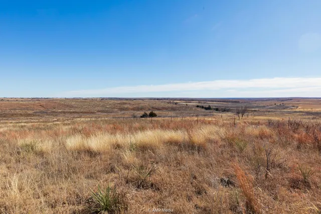 $1,500,000 | Undisclosed Address, Shamrock, TX 79079