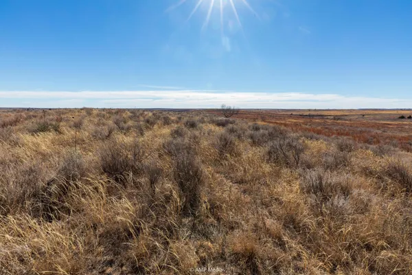 a view of a dry field