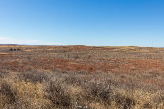 $1,500,000 | Undisclosed Address, Shamrock, TX 79079