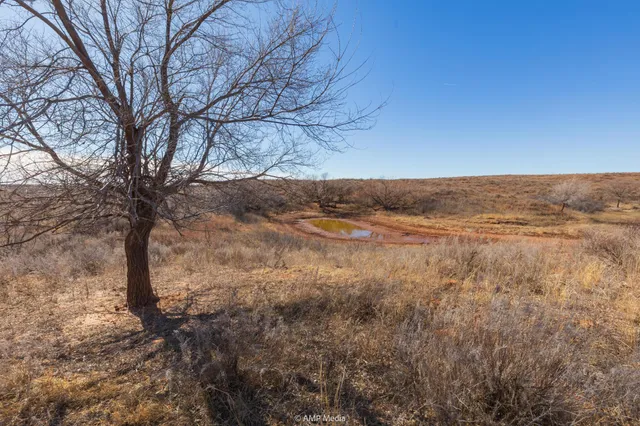 $1,500,000 | Undisclosed Address, Shamrock, TX 79079