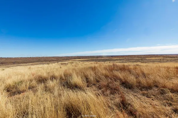 $1,500,000 | Undisclosed Address, Shamrock, TX 79079