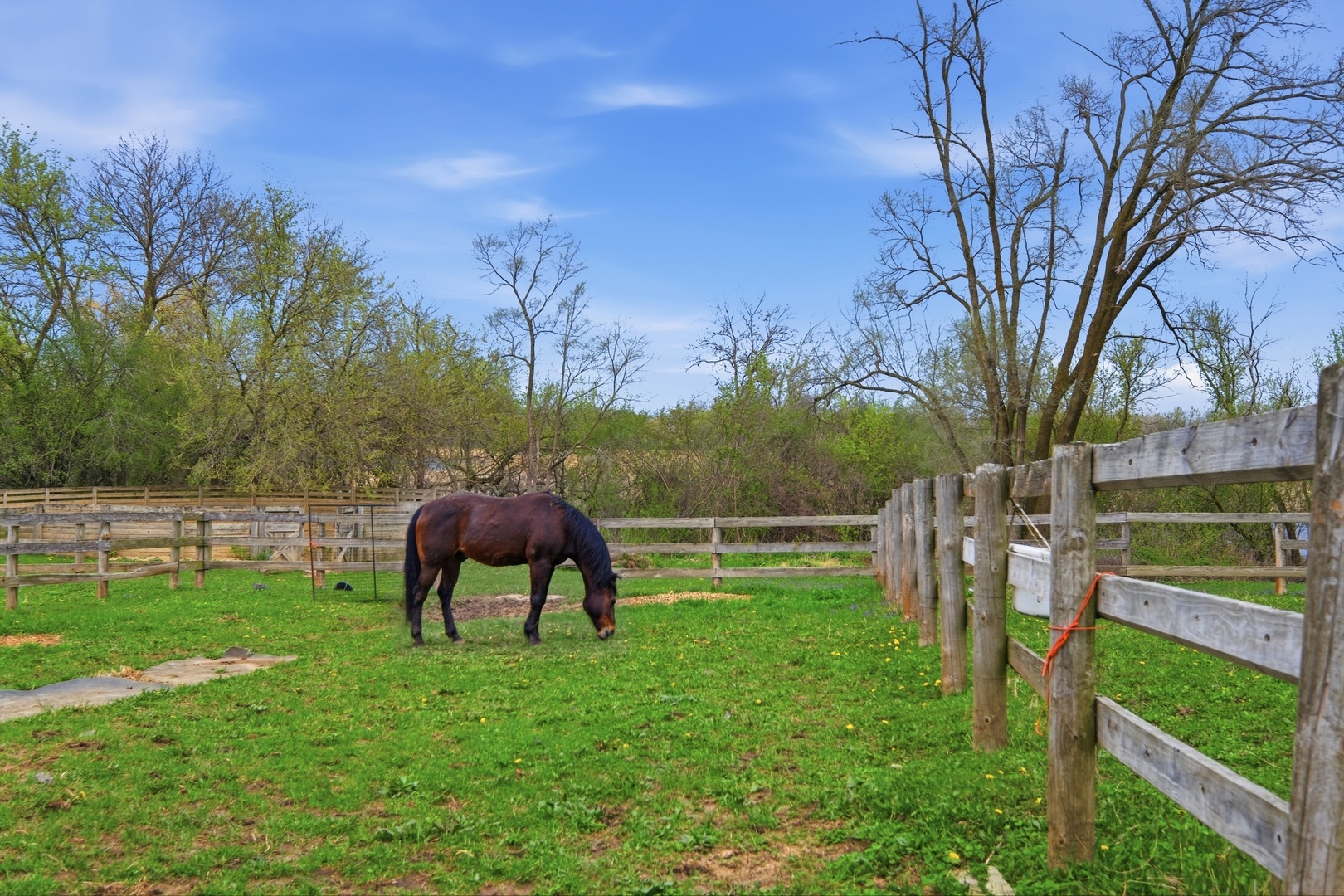 25848 West Scott Road North Barrington, IL 60010 - Photo 11 of 50