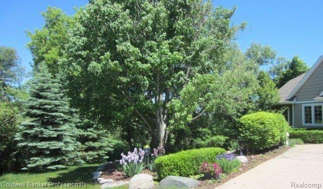 1569 Hadley Road Lapeer, MI 48446 - Photo 3 of 20 Beautfully Landscaped