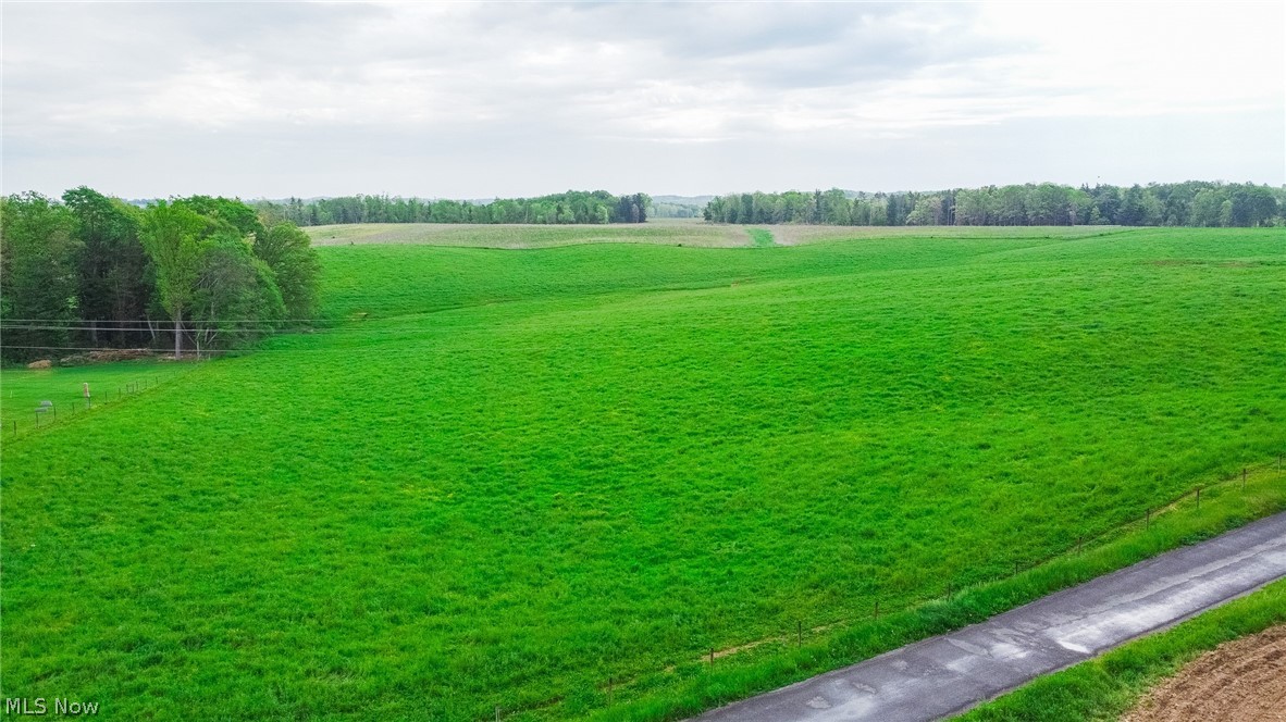 Emerick Road Summitville, OH 43962 - Photo 40 of 47