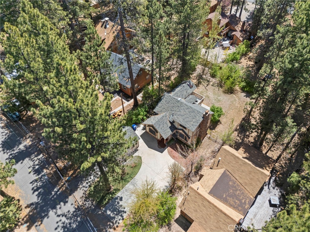 39169 Robin Road Big Bear Lake, CA 92315 - Photo 36 of 50