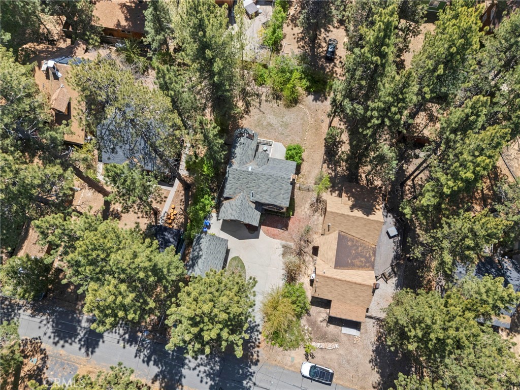 39169 Robin Road Big Bear Lake, CA 92315 - Photo 4 of 50