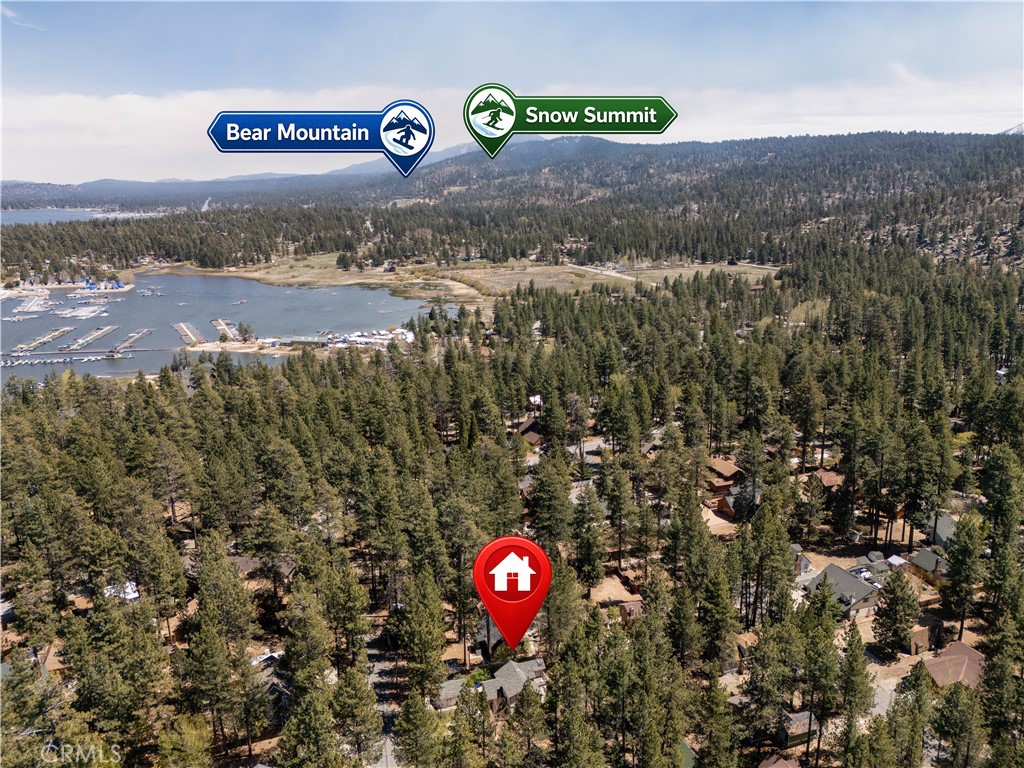 39169 Robin Road Big Bear Lake, CA 92315 - Photo 46 of 50