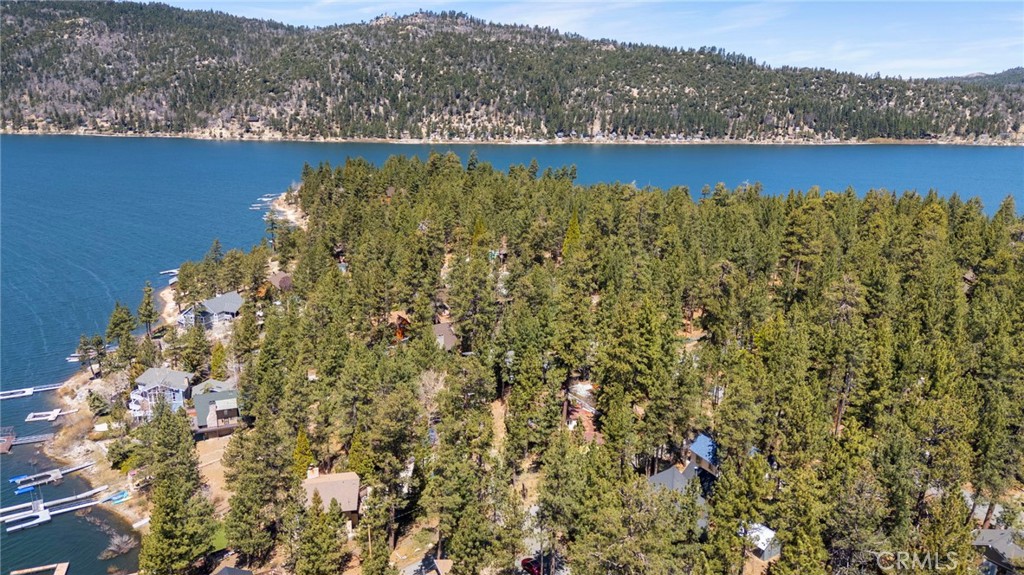 39169 Robin Road Big Bear Lake, CA 92315 - Photo 47 of 50