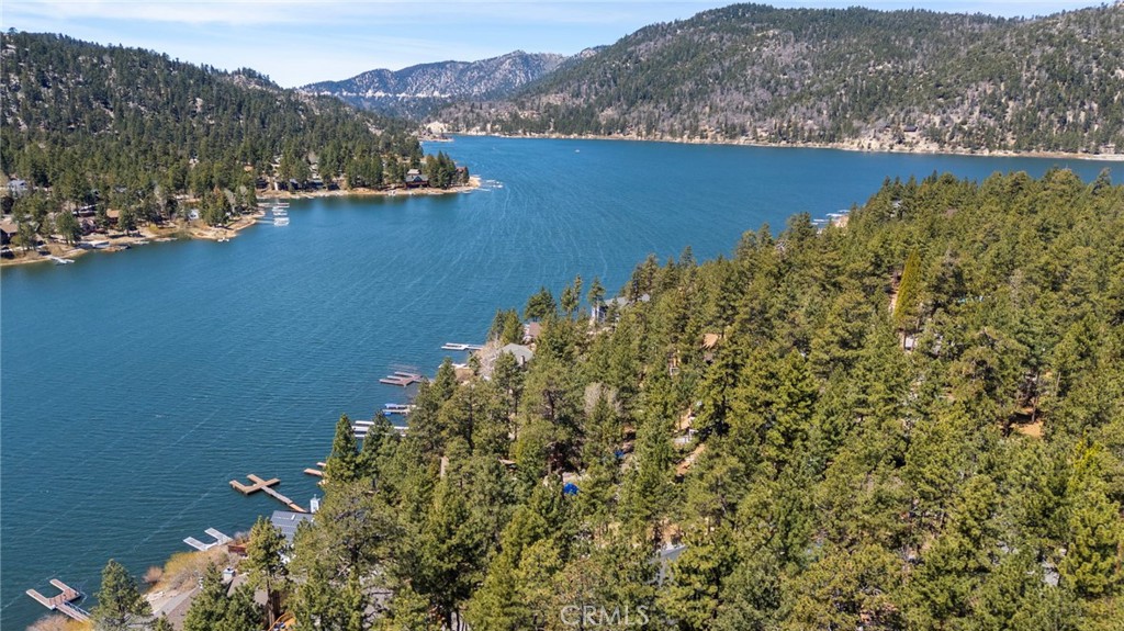 39169 Robin Road Big Bear Lake, CA 92315 - Photo 48 of 50