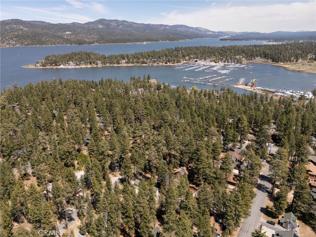 39169 Robin Road Big Bear Lake, CA 92315 - Photo 49 of 50