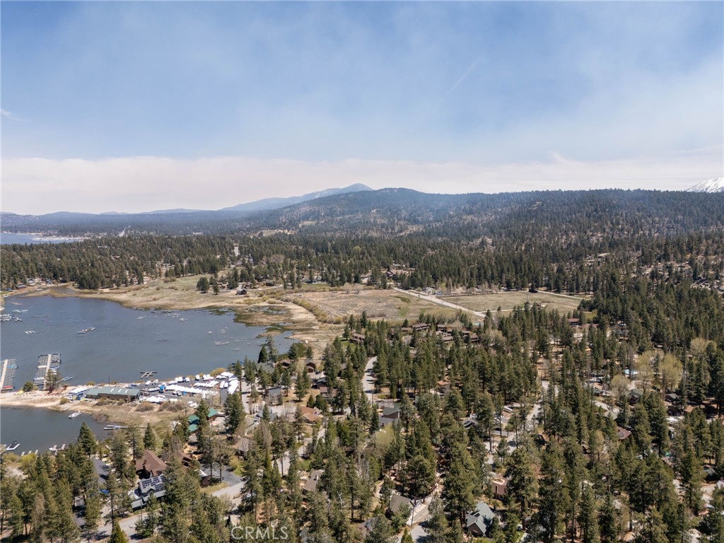 39169 Robin Road Big Bear Lake, CA 92315 - Photo 50 of 50