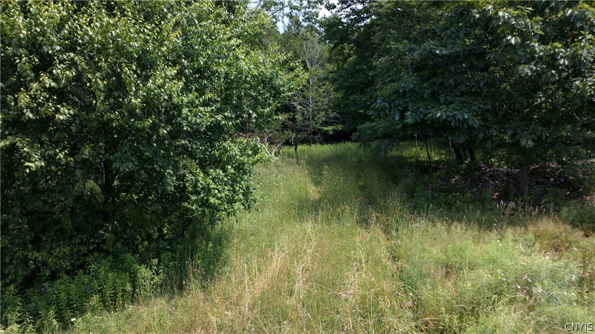 137 Windham Road Smithville, NY 13778 - Photo 11 of 20