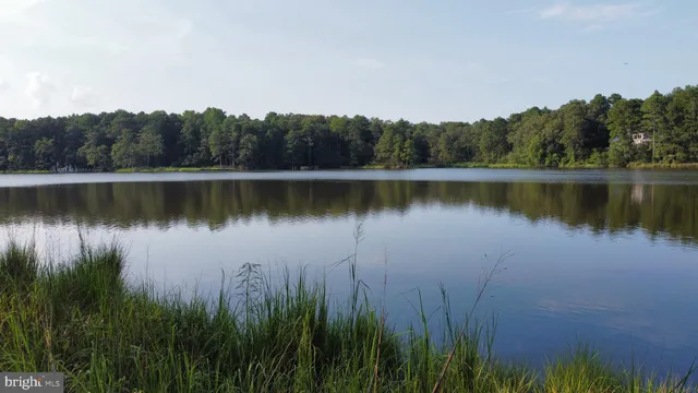 a view of a lake in between the forest and trees