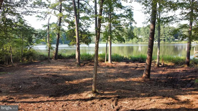 a view of a lake view with large trees