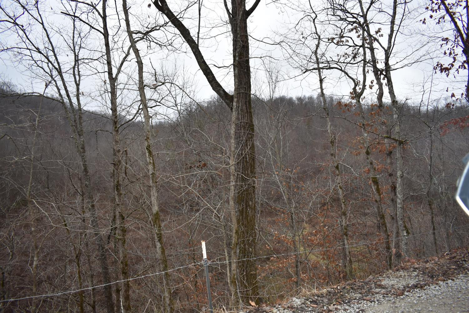 9999 East Crawfish Road Manchester, KY 40962 - Photo 11 of 52 Photo 11