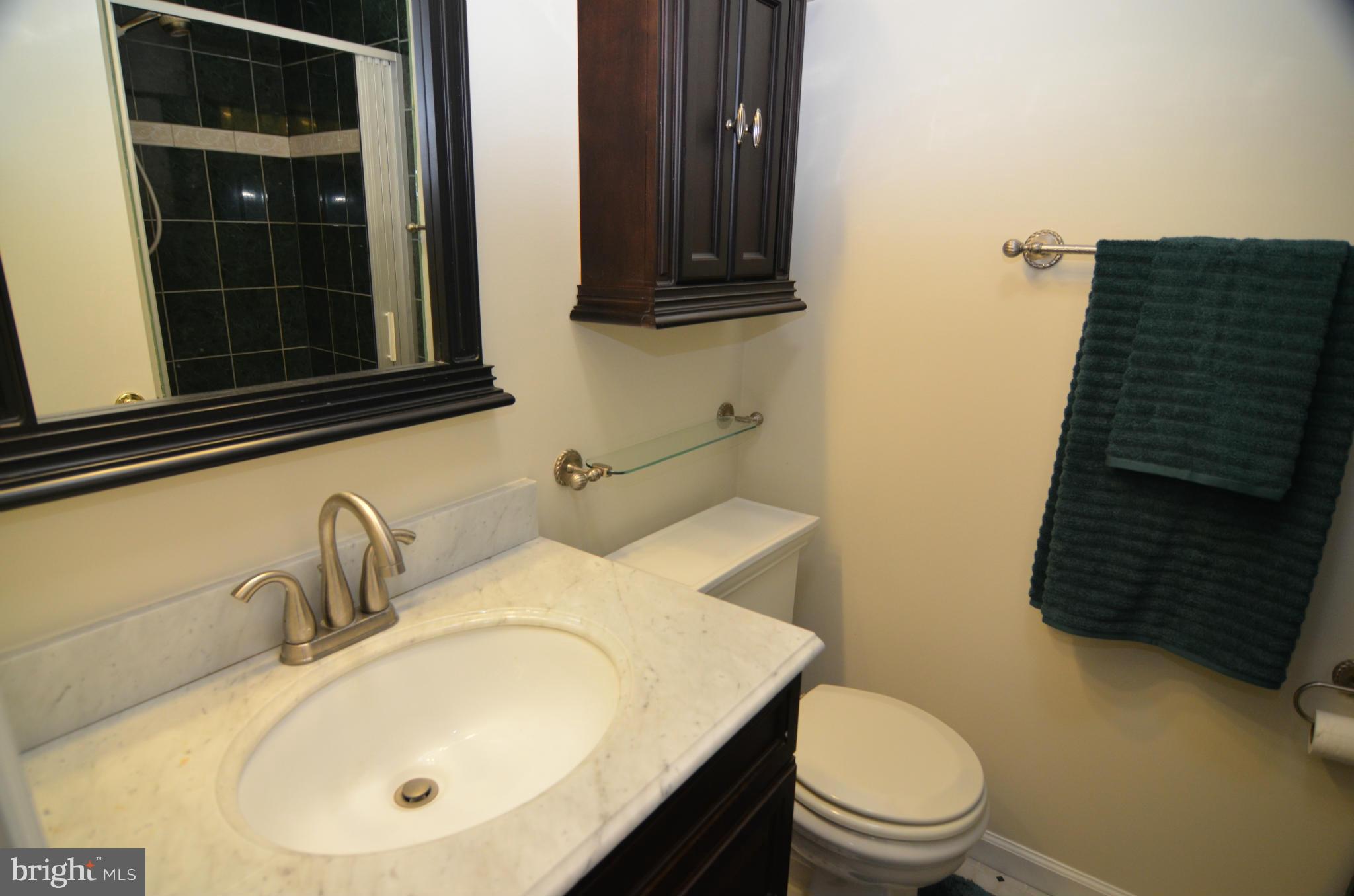 8612 Snowden Loop Laurel, MD 20708 - Photo 17 of 30 Bath (Master)