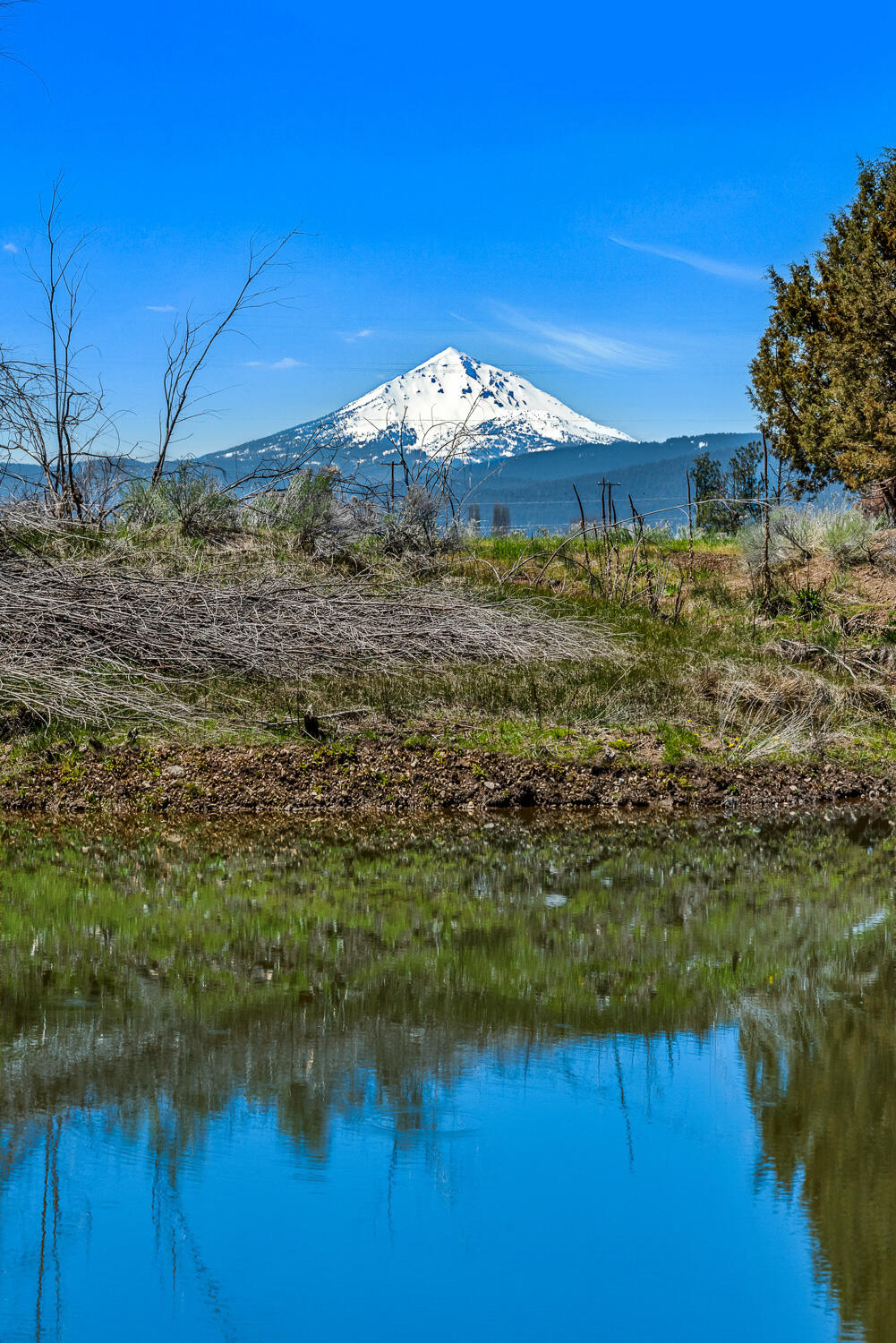 32841 River Bend Road Chiloquin, OR 97624 - Photo 69 of 77 070 Vladic River Ranch