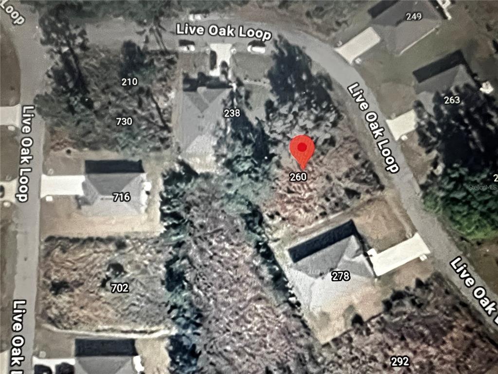 260 Live Oak Loop Crescent City, FL 32112 - Photo 17 of 18
