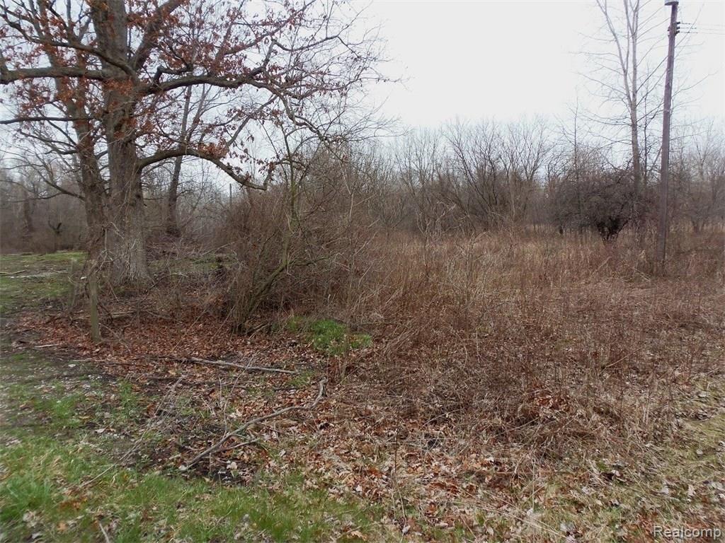 41005 Judd Road Belleville, MI 48111 - Photo 11 of 18