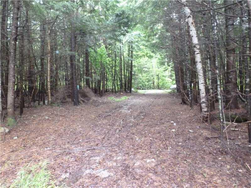 486 Cedar Lk Road Millinocket, ME 04462 - Photo 2 of 35 Land/Lot.