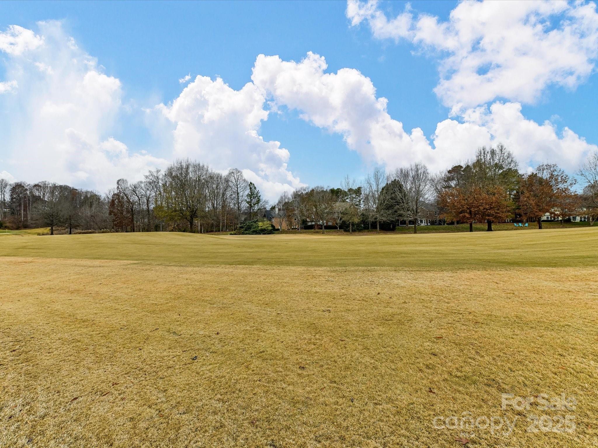 15815 Lavenham Road Huntersville, NC 28078 - Photo 36 of 42