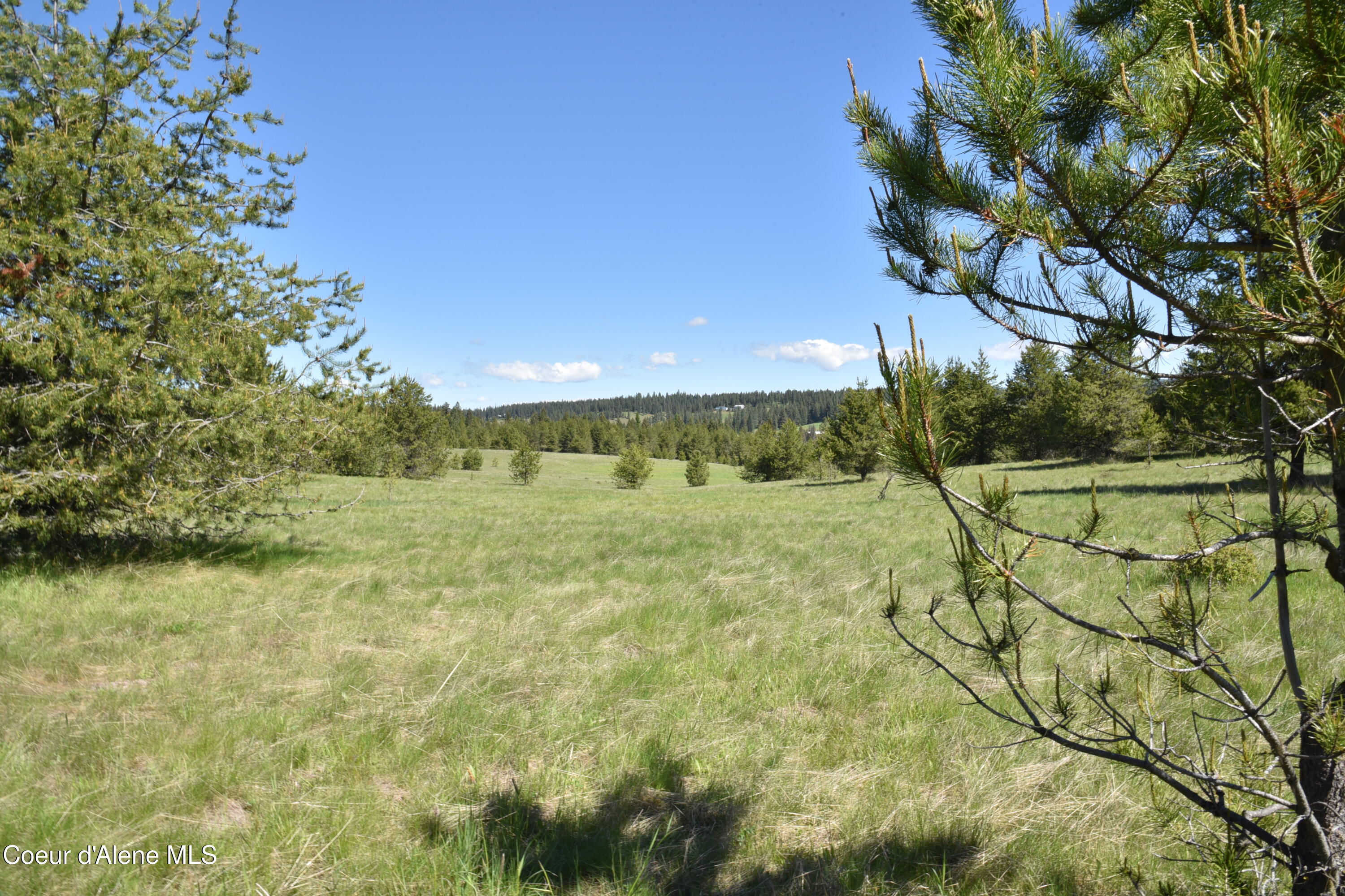 Nka Nka Tyson Creek Road St. Maries, ID 83861 - Photo 20 of 26 22