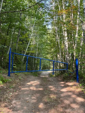 $360,000 | 21482 Five Island Lake Road, Effie, MN 56639