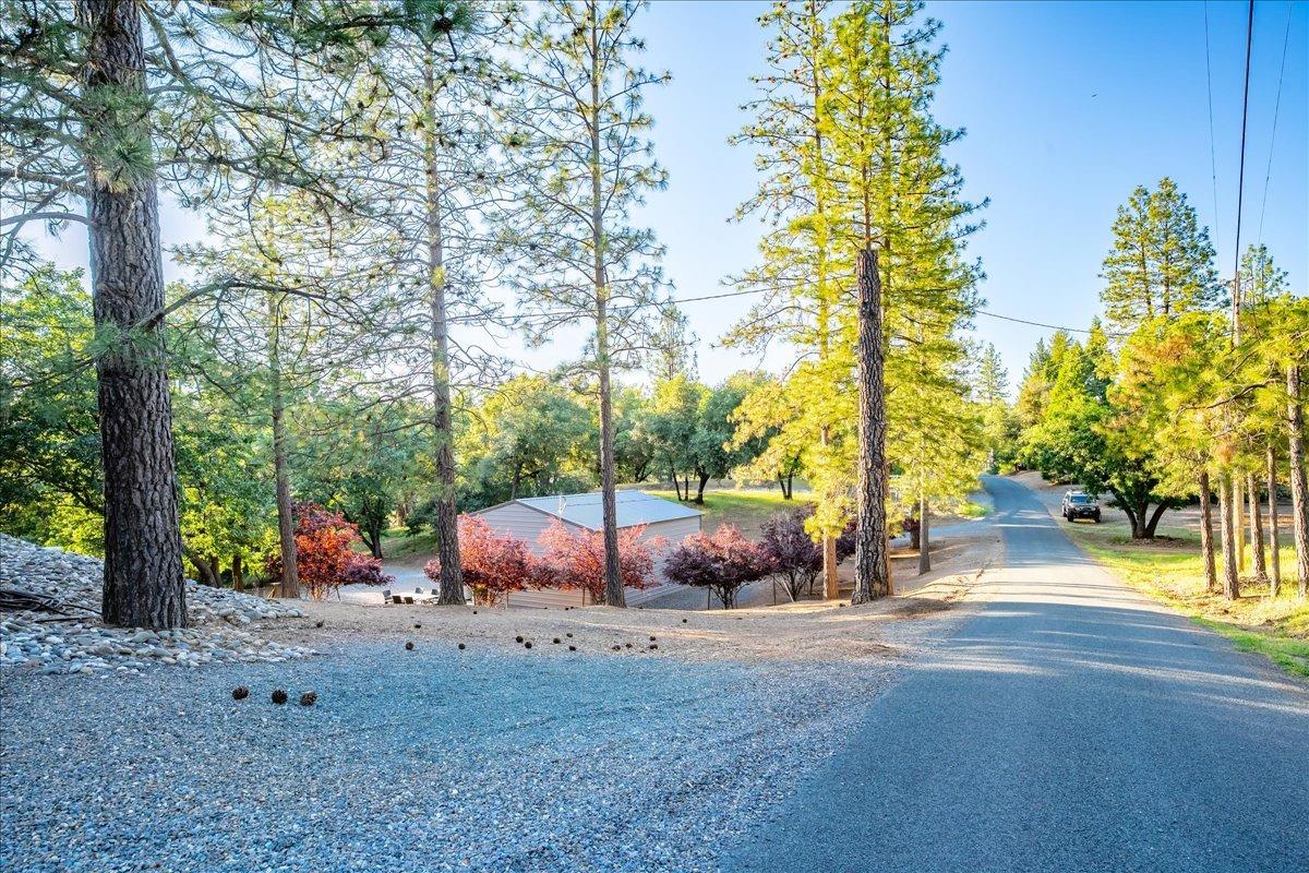 6340 Roller Coaster Road Garden Valley, CA 95633 - Photo 80 of 95