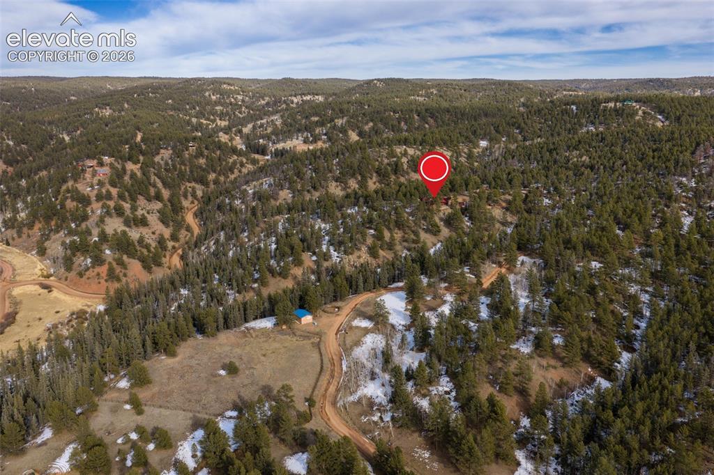 1910 Wildhorn Road Florissant, CO 80816 - Photo 44 of 50