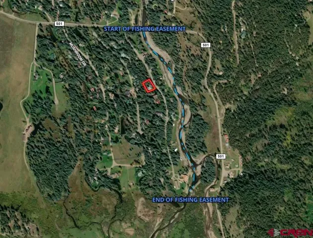 a view of a plant in a garden