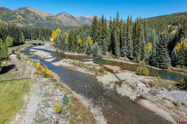 a view of a yard with plants and trees